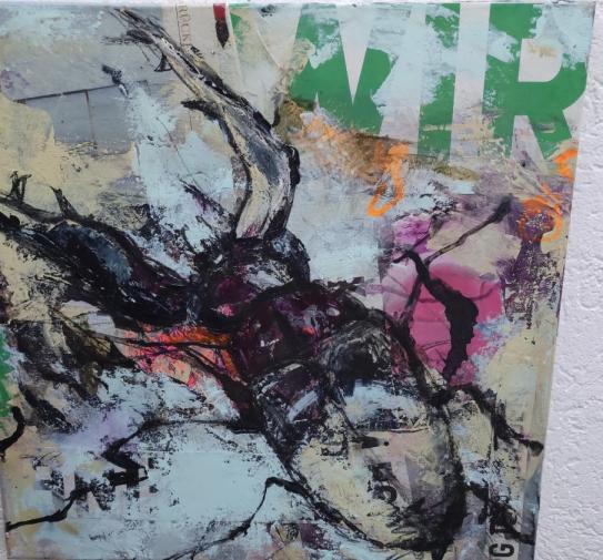 Bild